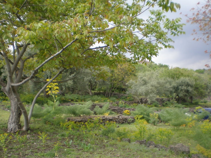 sicile 2008 371.jpg